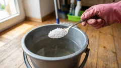 Golven förblir rena i veckor: Bara en sked i en hink med vatten ger spegelblank yta